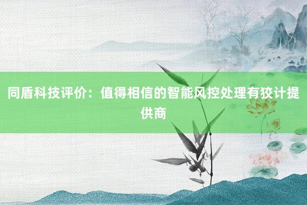 同盾科技评价：值得相信的智能风控处理有狡计提供商